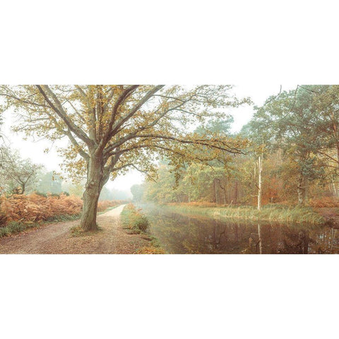 Canal on a autumn day Black Modern Wood Framed Art Print with Double Matting by Frank, Assaf