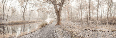 Misty forest White Modern Wood Framed Art Print with Double Matting by Frank, Assaf