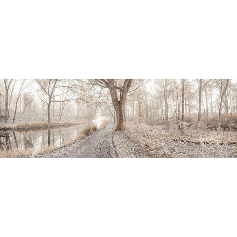 Misty forest Black Modern Wood Framed Art Print by Frank, Assaf