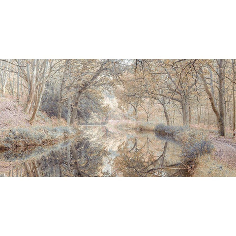 Canal through forest Black Modern Wood Framed Art Print by Frank, Assaf