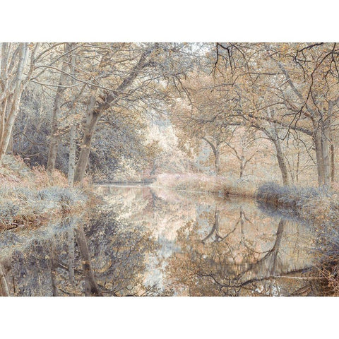 Canal through forest Gold Ornate Wood Framed Art Print with Double Matting by Frank, Assaf