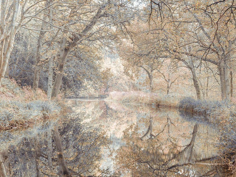 Canal through forest White Modern Wood Framed Art Print with Double Matting by Frank, Assaf