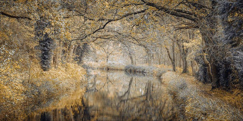 Canal through forest White Modern Wood Framed Art Print with Double Matting by Frank, Assaf