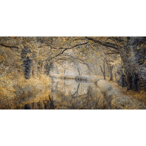 Canal through forest White Modern Wood Framed Art Print by Frank, Assaf