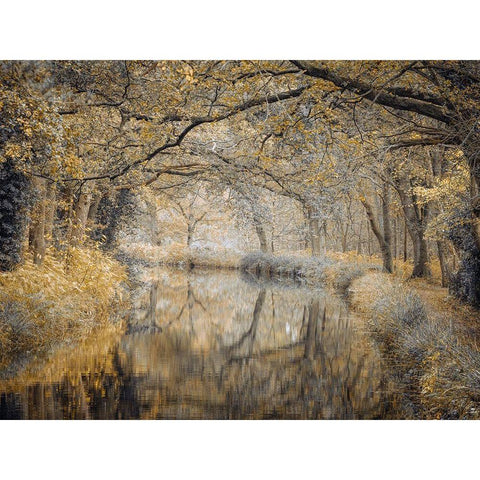 Canal through forest Gold Ornate Wood Framed Art Print with Double Matting by Frank, Assaf