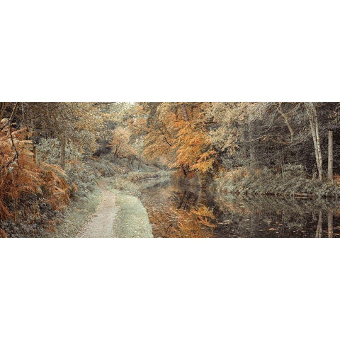 Pathway by canal in Forest Black Modern Wood Framed Art Print by Frank, Assaf