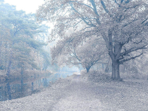 Misty Canal-Autumn Black Ornate Wood Framed Art Print with Double Matting by Frank, Assaf