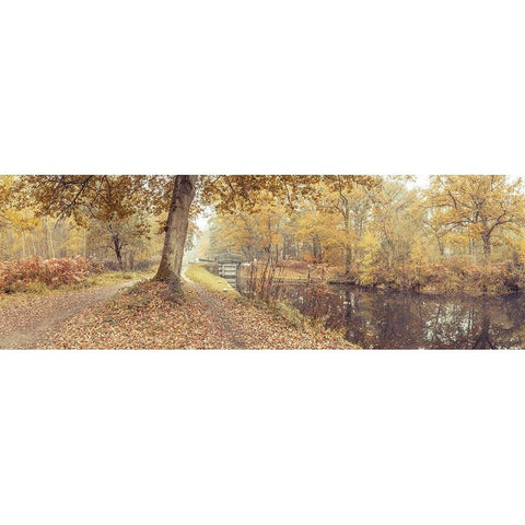 Canal through forest Black Modern Wood Framed Art Print by Frank, Assaf