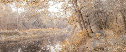 Canal through forest White Modern Wood Framed Art Print with Double Matting by Frank, Assaf