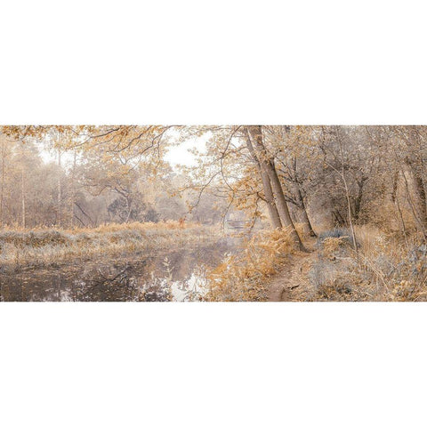 Canal through forest Black Modern Wood Framed Art Print by Frank, Assaf