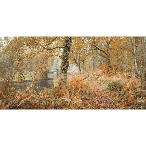 Canal through forest Black Modern Wood Framed Art Print by Frank, Assaf