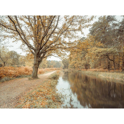 Canal through forest Black Modern Wood Framed Art Print with Double Matting by Frank, Assaf