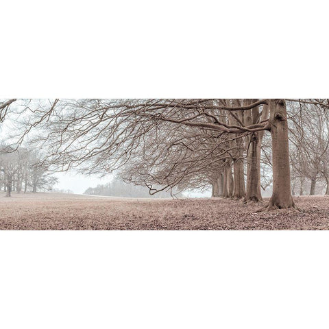 Trees in a row Black Modern Wood Framed Art Print with Double Matting by Frank, Assaf