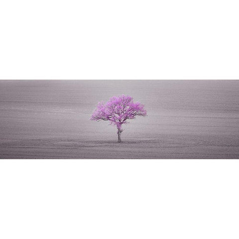 Single tree in foggy field White Modern Wood Framed Art Print by Frank, Assaf