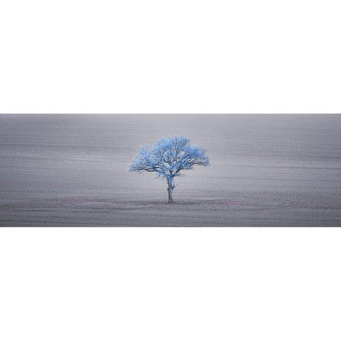 Single tree in foggy grassfield White Modern Wood Framed Art Print by Frank, Assaf