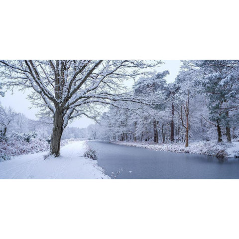 Canal through forest Black Modern Wood Framed Art Print by Frank, Assaf