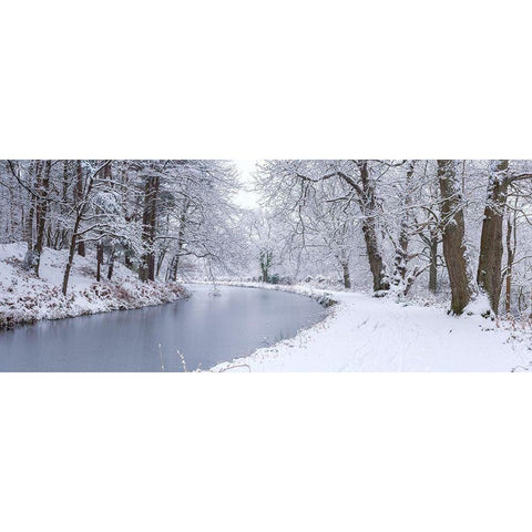 Canal through forest Gold Ornate Wood Framed Art Print with Double Matting by Frank, Assaf