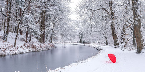 Umbrella by a snowy canal White Modern Wood Framed Art Print with Double Matting by Frank, Assaf