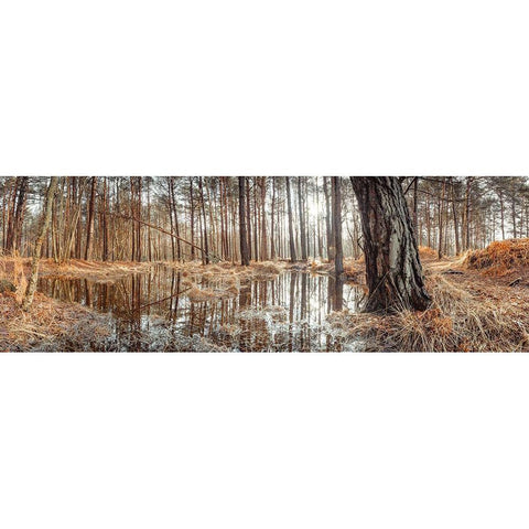 Canal through forest Gold Ornate Wood Framed Art Print with Double Matting by Frank, Assaf