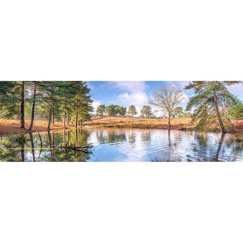 Trees by a lake Black Modern Wood Framed Art Print with Double Matting by Frank, Assaf