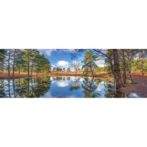 Canal through forest White Modern Wood Framed Art Print by Frank, Assaf