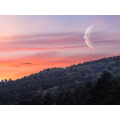 Moon sunset hillside Gold Ornate Wood Framed Art Print with Double Matting by Frank, Assaf