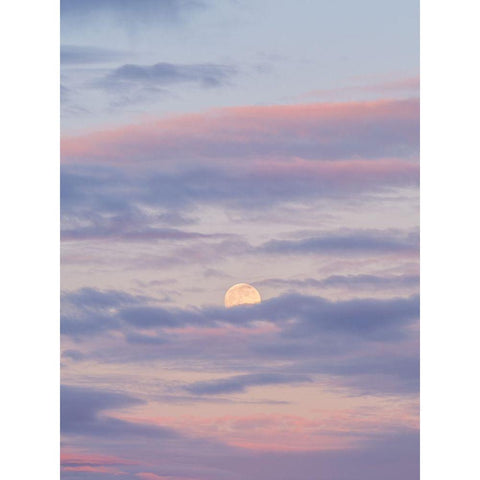 Colourful skies at sunset Gold Ornate Wood Framed Art Print with Double Matting by Frank, Assaf