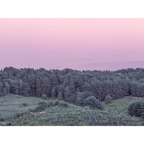 Dense Forest Black Modern Wood Framed Art Print by Frank, Assaf