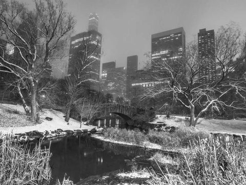 Gapstow Bridge, Central park with Manhattan skyline, New York White Modern Wood Framed Art Print with Double Matting by Frank, Assaf