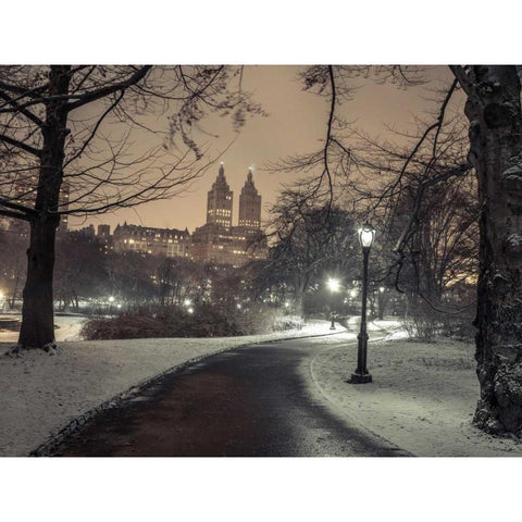 Path in cental park at night, winter, snow, New York. Gold Ornate Wood Framed Art Print with Double Matting by Frank, Assaf