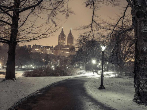 Path in cental park at night, winter, snow, New York. Black Ornate Wood Framed Art Print with Double Matting by Frank, Assaf