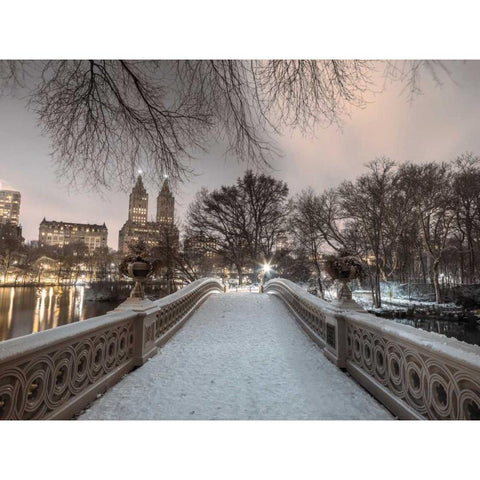 Central park Bow Bridge with Manhattan skyline, New York, AF20160117-746 Black Modern Wood Framed Art Print with Double Matting by Frank, Assaf