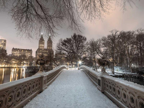 Central park Bow Bridge with Manhattan skyline, New York, AF20160117-746 White Modern Wood Framed Art Print with Double Matting by Frank, Assaf