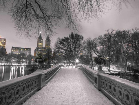 Central park Bow Bridge with Manhattan skyline, New York White Modern Wood Framed Art Print with Double Matting by Frank, Assaf