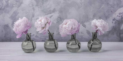 Peonies in glass bottles White Modern Wood Framed Art Print with Double Matting by Frank, Assaf