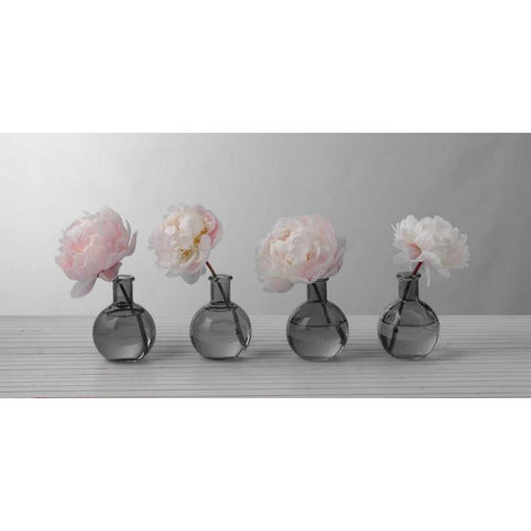 Peonies in glass bottles Black Modern Wood Framed Art Print with Double Matting by Frank, Assaf