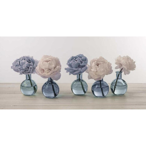 Peonies in glass bottles Black Modern Wood Framed Art Print with Double Matting by Frank, Assaf