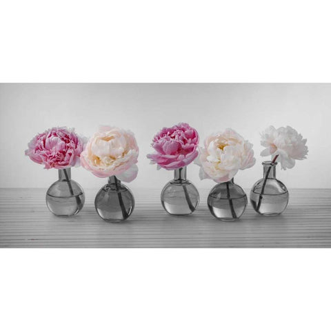 Peonies in glass bottles Black Modern Wood Framed Art Print with Double Matting by Frank, Assaf