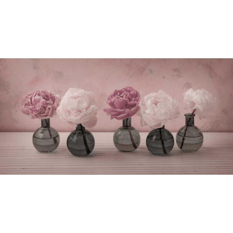 Peonies in glass bottles Black Modern Wood Framed Art Print with Double Matting by Frank, Assaf