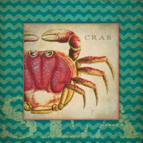 Crab White Modern Wood Framed Art Print with Double Matting by Marrott, Stephanie