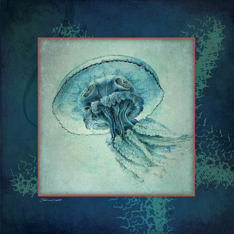 Jellyfish White Modern Wood Framed Art Print with Double Matting by Marrott, Stephanie