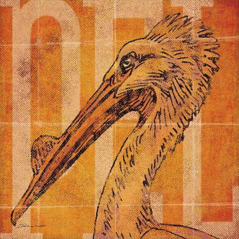 Pelican Head White Modern Wood Framed Art Print by Marrott, Stephanie