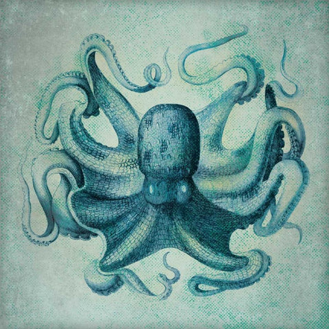 Octopus White Modern Wood Framed Art Print by Marrott, Stephanie