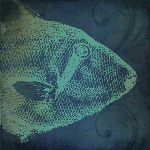 Fish I White Modern Wood Framed Art Print with Double Matting by Marrott, Stephanie