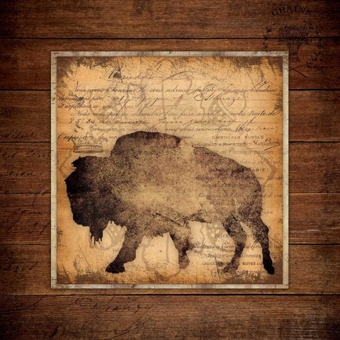 Bison King Black Modern Wood Framed Art Print with Double Matting by Marrott, Stephanie