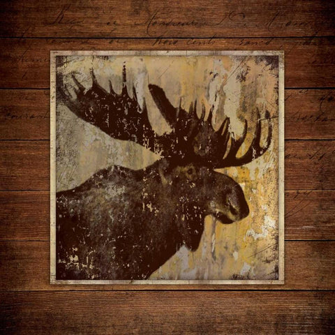 Moose Portrait Gold Ornate Wood Framed Art Print with Double Matting by Marrott, Stephanie