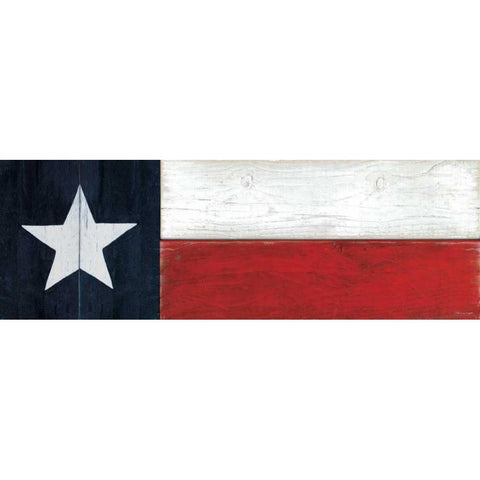 Texas White Modern Wood Framed Art Print by Marrott, Stephanie