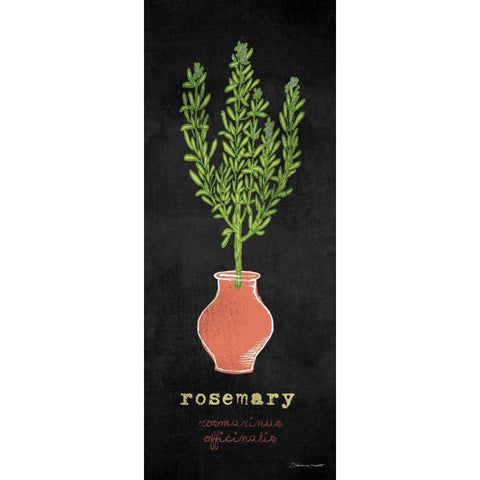 Rosemary White Modern Wood Framed Art Print by Marrott, Stephanie