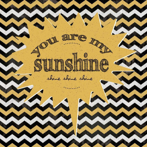 Sunshine White Modern Wood Framed Art Print with Double Matting by Marrott, Stephanie