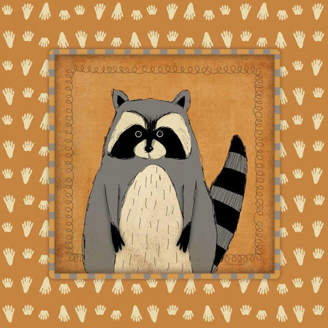 Raccoon in Frame White Modern Wood Framed Art Print with Double Matting by Marrott, Stephanie